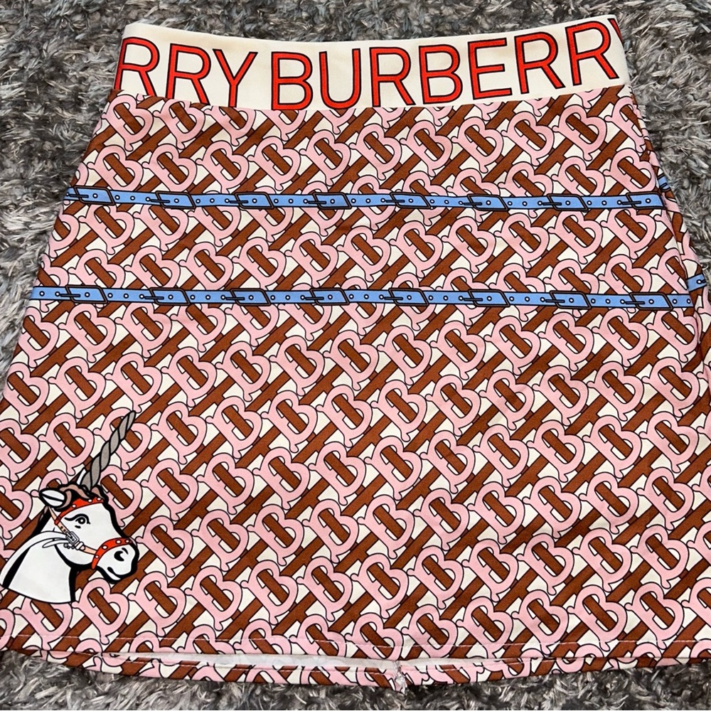 Burberry skirt